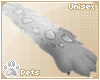 [Pets] Naui | fuzzy paws