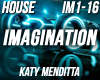 House - Imagination
