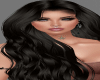 HAIR - BLACK - G492