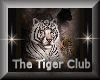 [my]The White Tiger Club