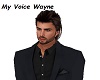 My Voice Wayne