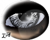 [LA] Zebra eye F