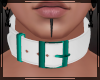 + Belt Collar Teal