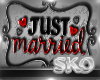*SK*JUST MARRIED SIGN