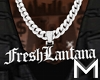 £ F.Lantana Chain REQ
