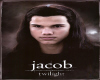 Twilight jacob