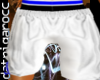 Blue&White Jordan Shorts