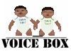 RD-TwinBoysVoiceBox