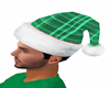 S4E Animated Green Hat