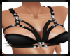♦Spiked Harness