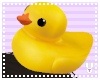 T|Mr. Rubber Ducky