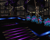 Night Club !
