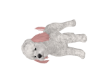 White and pink poodle
