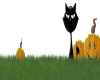 HALLOWEEN CAT IN GRASS