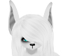 [YsA] White Wolf Ears