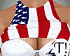 4th July Flag Bundle