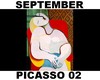 (S) Picasso 02
