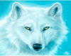 SM White Wolf Sticker