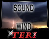 Ter Ambient WIND Sounds