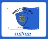 Waterford Flag