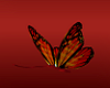 Red Butterflies Animated
