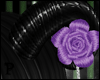 p|Purple Rose Horns