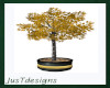 Gold Ficus w Lights