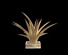 white gold palm plant