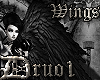 Fallen Angel Wings/b [D]