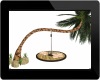Funny Palm*