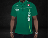 Camisa Palmeiras PM