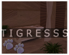 Spa Massage Table V2
