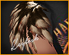 (Key)Shoulders feathers