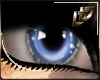 ~DD~ Blue Shimmer Eye