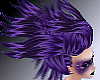 Purple Hairstreak