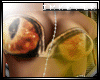 (iK!)Eye (XLB)