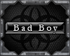 [BR][Bad Boy][TAG]