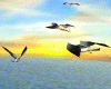 flight of seagulls