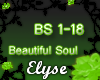E| Beautiful Soul