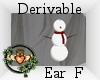~QI~ DRV Snow Ear F