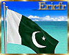 [Efr] Pakistan flag v2