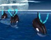 3 Port Whales I Love U