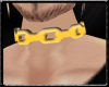 Gold Chain collar M