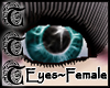 TTT Eclipse Eyes ~ Aqua