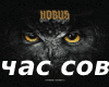Horus chas sov