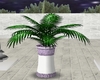 Greek Plant Purple Green