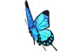 https://userimages02-akm.imvu.com/productdata/images_7b7ecbbe4965d18534262ff1176230b5.gif