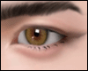 Brown Eyes F/M