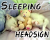Sleeping Headsign