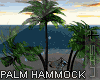 S†N Palm Hammock